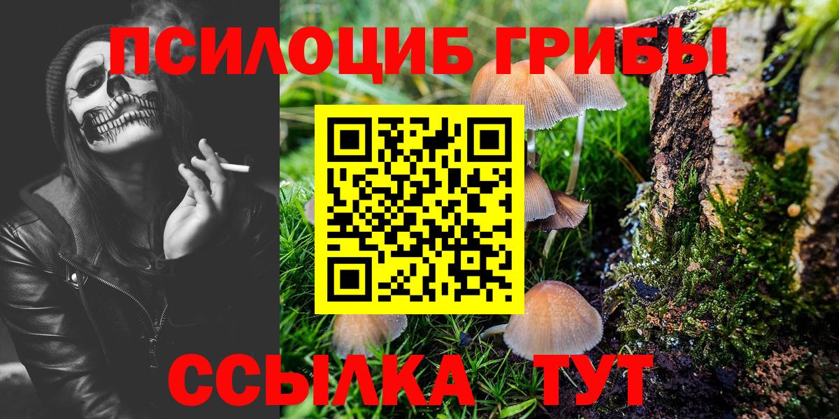 Галлюциногенные грибы Psilocybe Ртищево